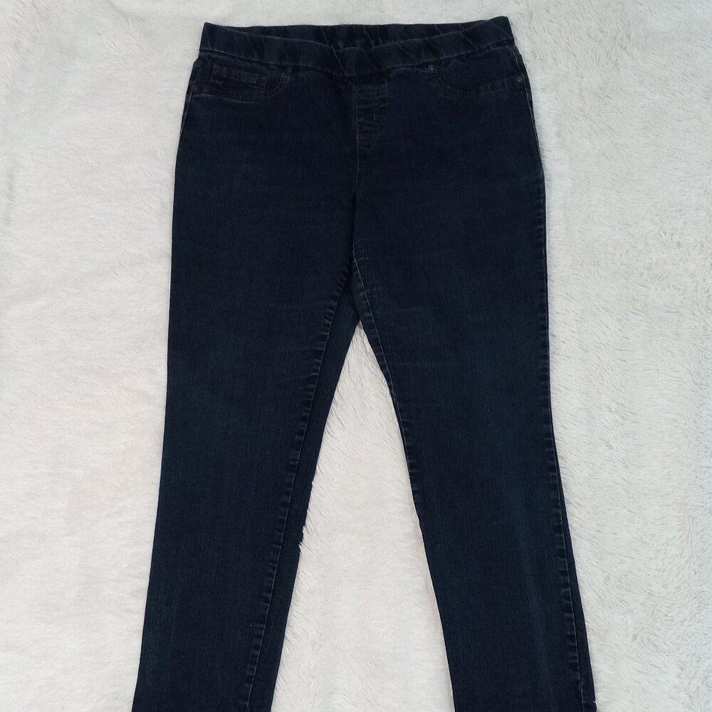 Faded Glory Women's 3 Pocket, Stretch Denim Jeans (Size 14) Color: Jrinse